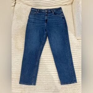American Eagle Outfitters High Rise Mom Jeans